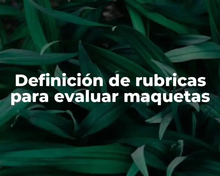 Definición de rubricas para evaluar maquetas