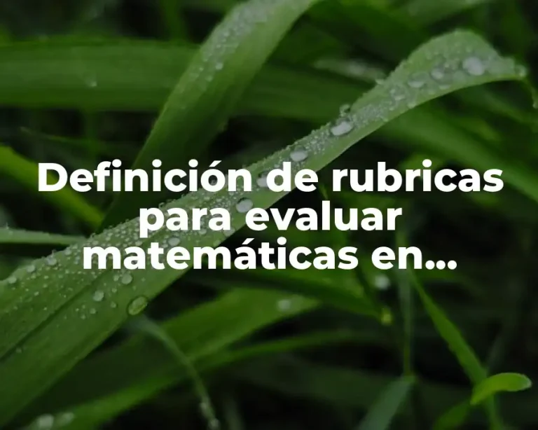 Definición de rubricas para evaluar matemáticas en primaria quinto grado