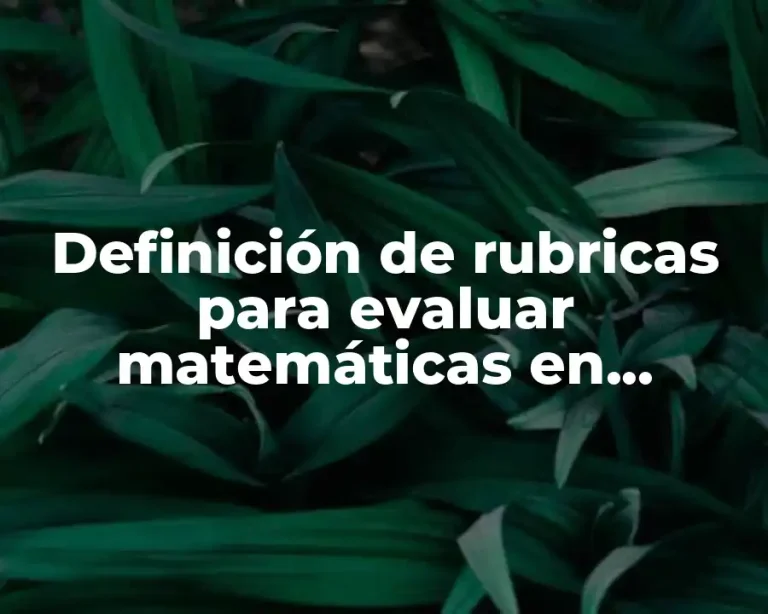 Definición de rubricas para evaluar matemáticas en segundo de primaria