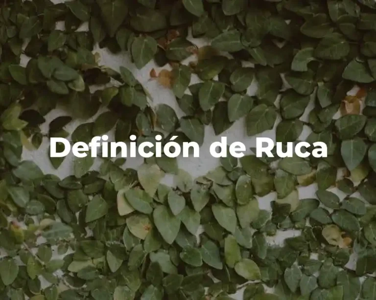 Definición de Ruca