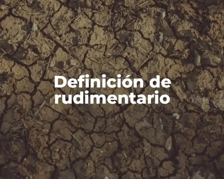 Definición de rudimentario