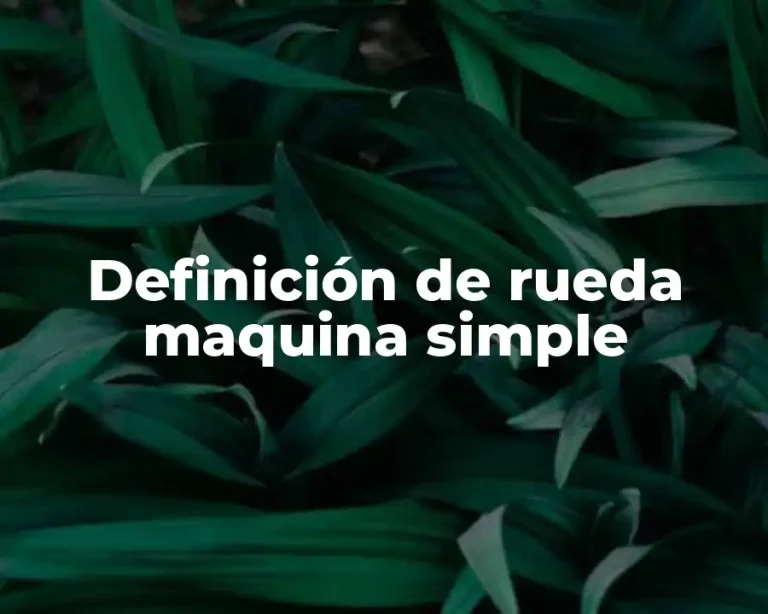 Definición de rueda maquina simple
