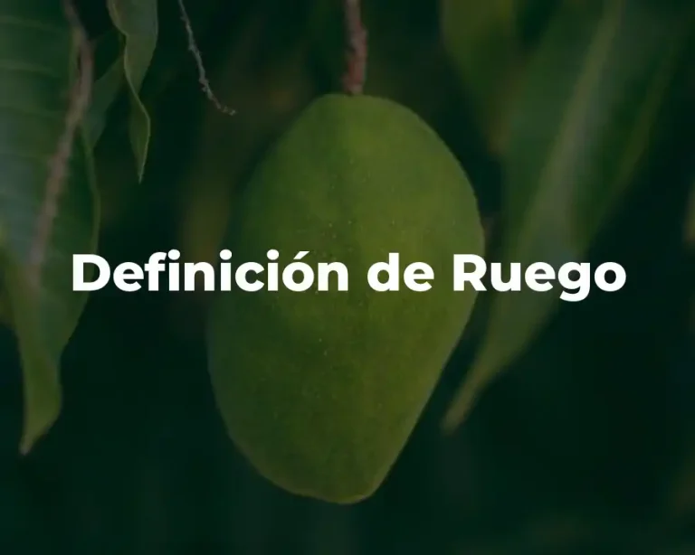Definición de Ruego