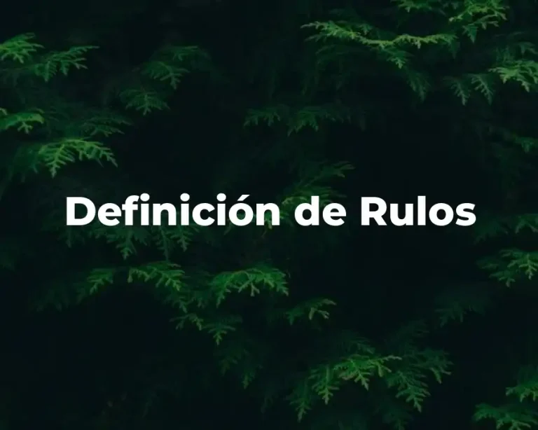 Definición de Rulos