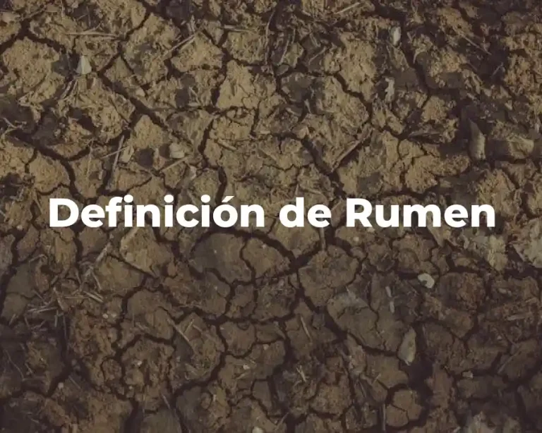 Definición de Rumen