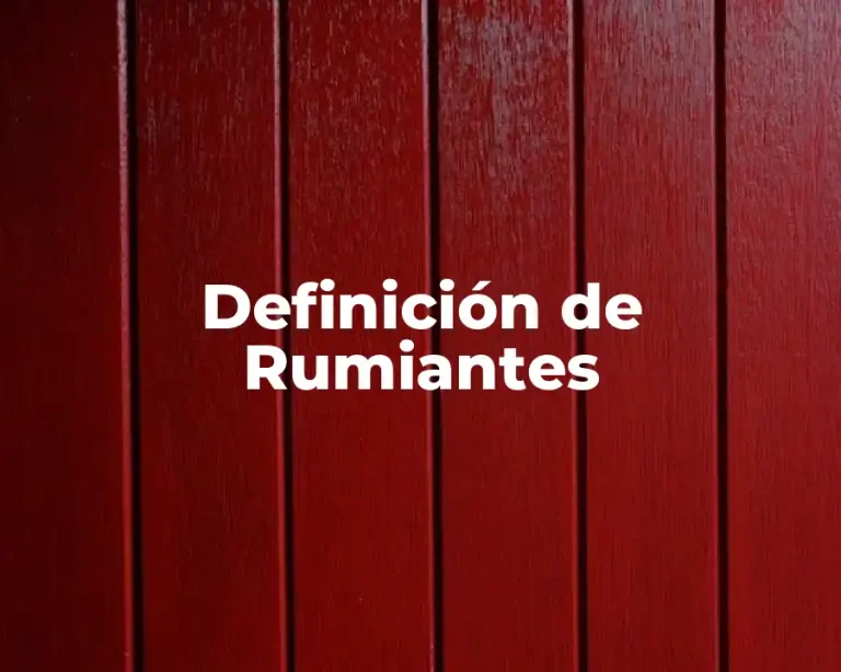 Definición de Rumiantes
