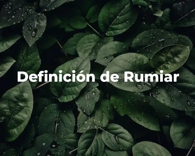 Definición de Rumiar