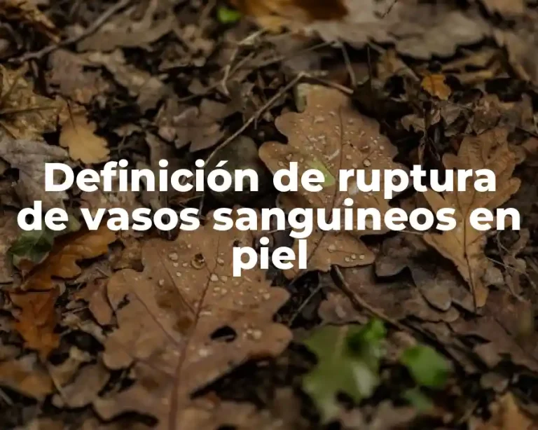 Definición de ruptura de vasos sanguineos en piel