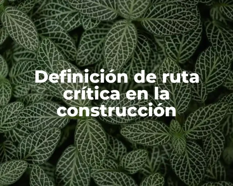 Definición de ruta crítica en la construcción