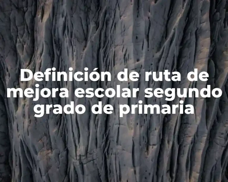 Definición de ruta de mejora escolar segundo grado de primaria