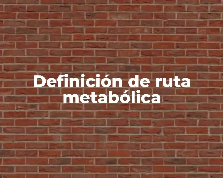Definición de ruta metabólica
