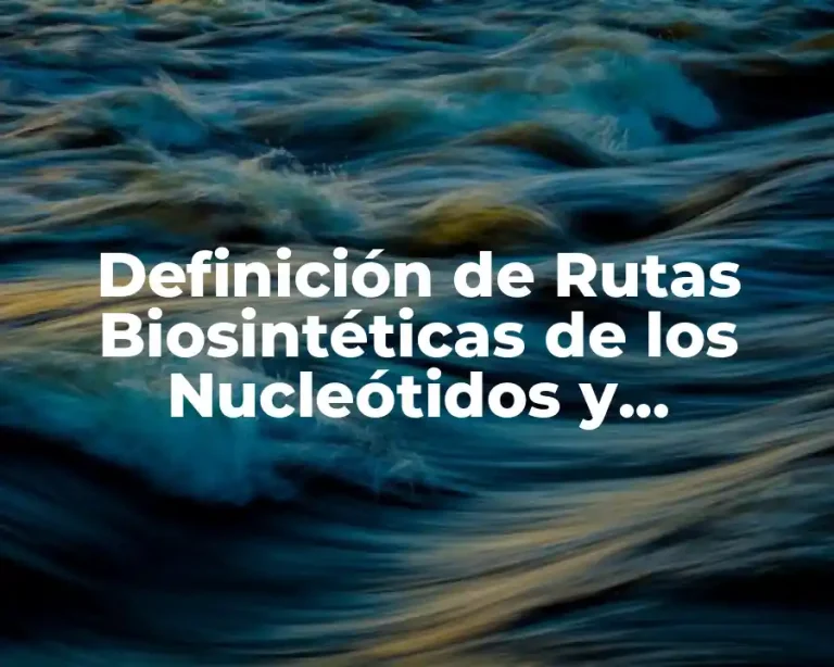 Definición de Rutas Biosintéticas de los Nucleótidos y Desoxiribonucleótidos