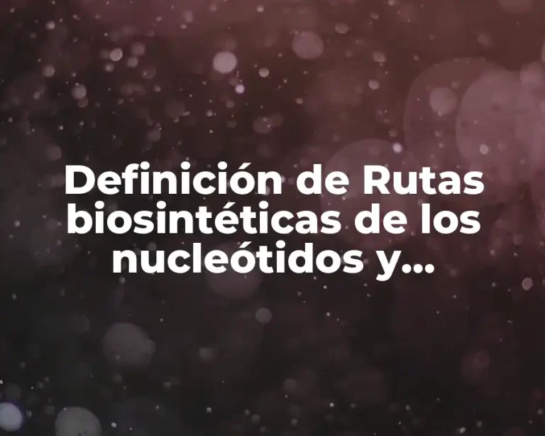 Definición de Rutas biosintéticas de los nucleótidos y desoxirribonucleótidos