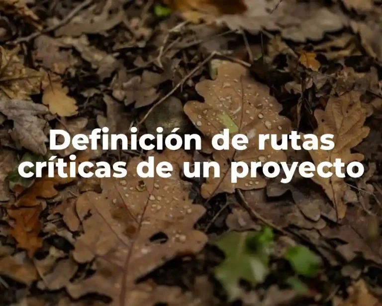Definición de rutas críticas de un proyecto