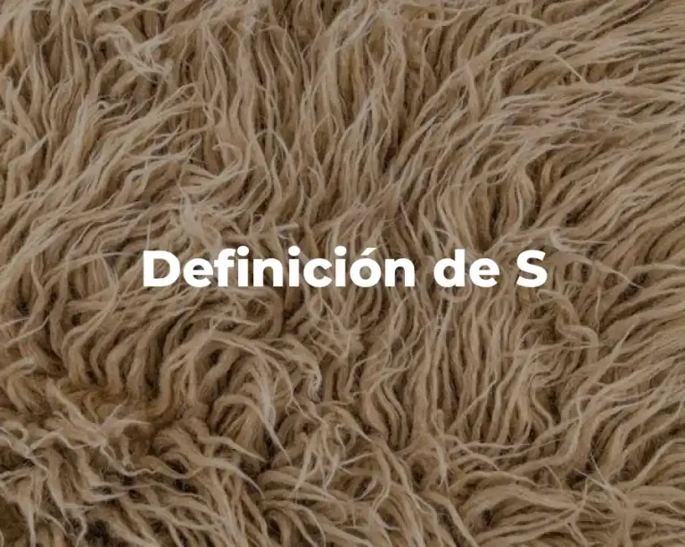Definición de S