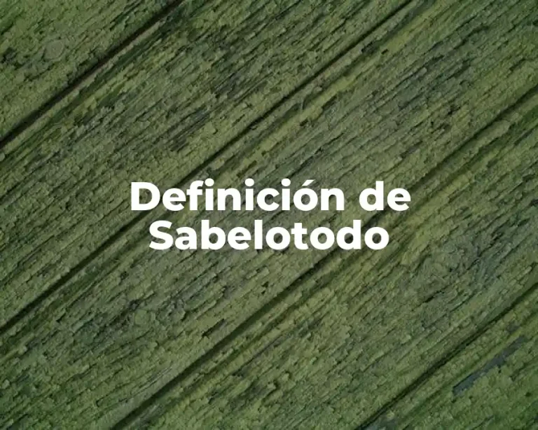 Definición de Sabelotodo