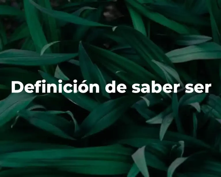 Definición de saber ser