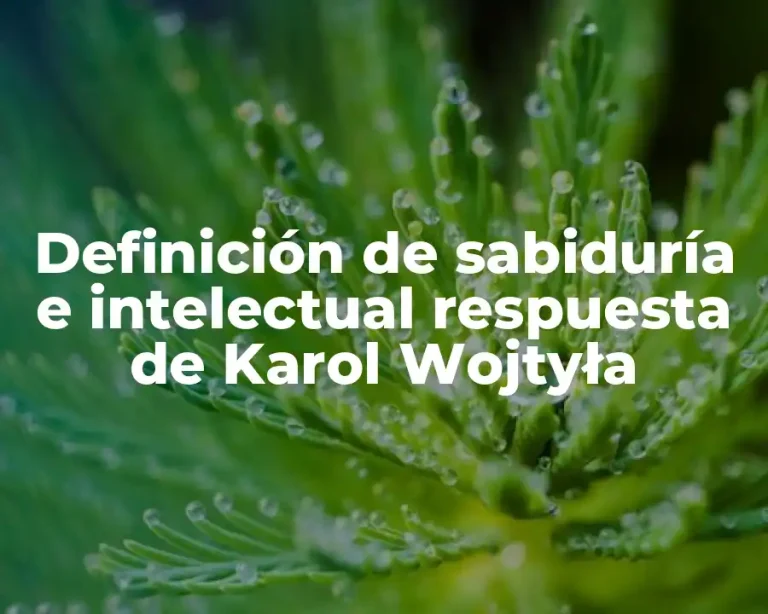 Definición de sabiduría e intelectual respuesta de Karol Wojtyła