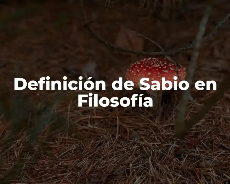 Definición de Sabio en Filosofía