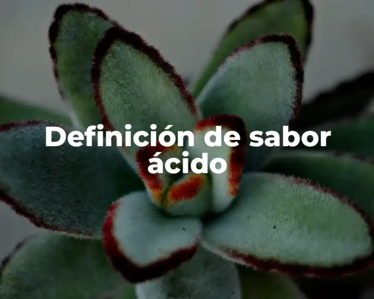 Definición de sabor ácido