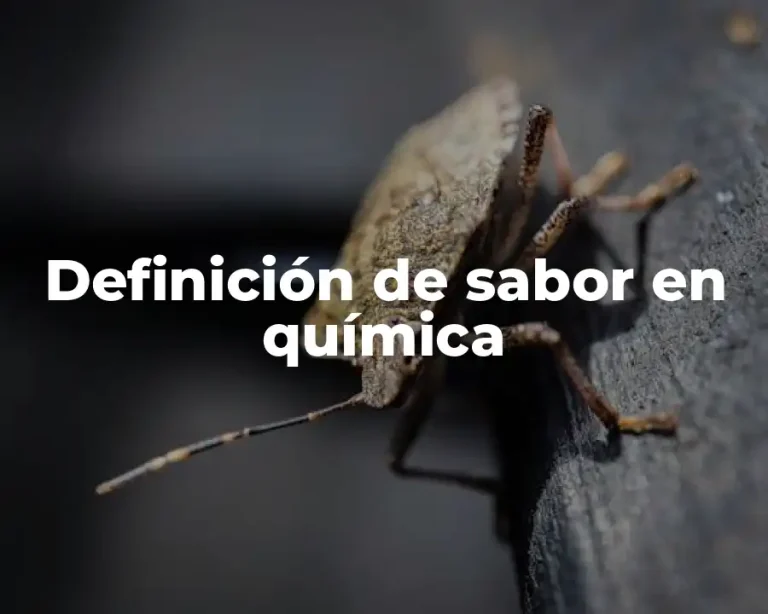 Definición de sabor en química
