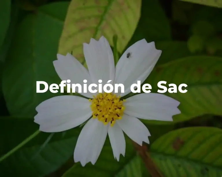 Definición de Sac
