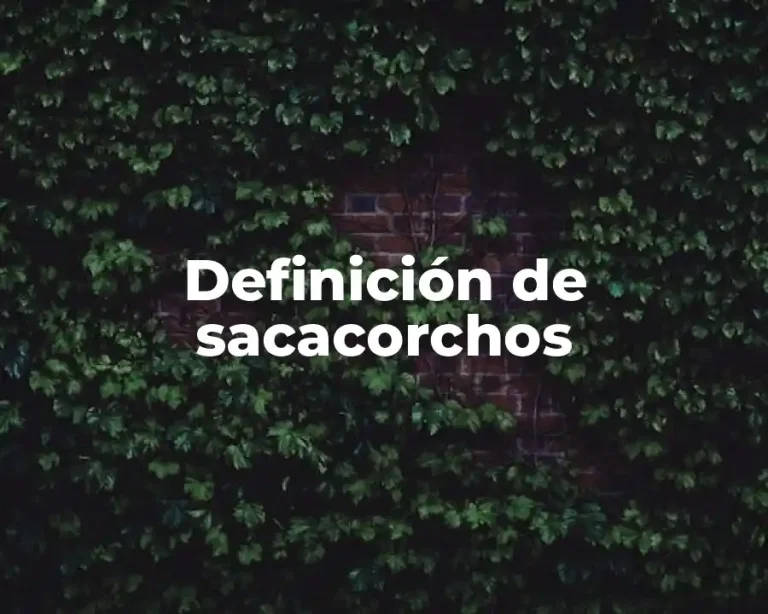 Definición de sacacorchos