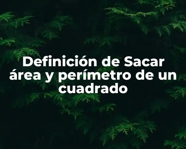 Definición de Sacar área y perímetro de un cuadrado