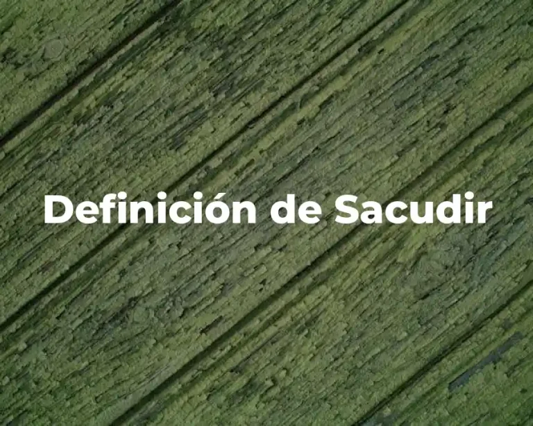 Definición de Sacudir