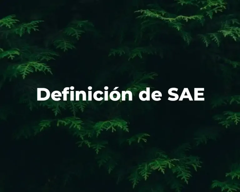 Definición de SAE