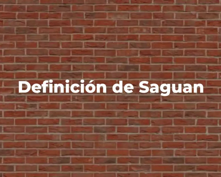 Definición de Saguan
