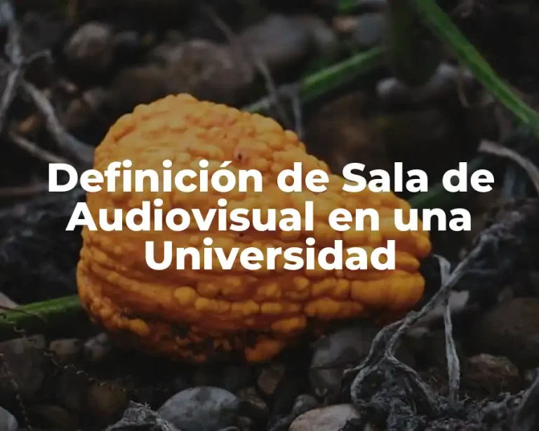 Definición de Sala de Audiovisual en una Universidad