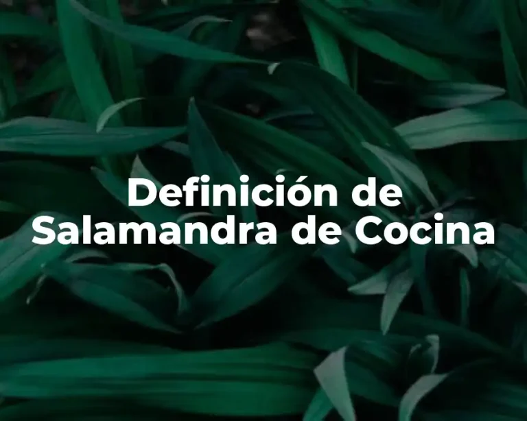 Definición de Salamandra de Cocina