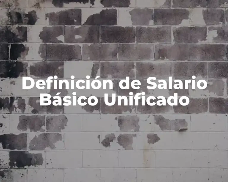 Definición de Salario Básico Unificado