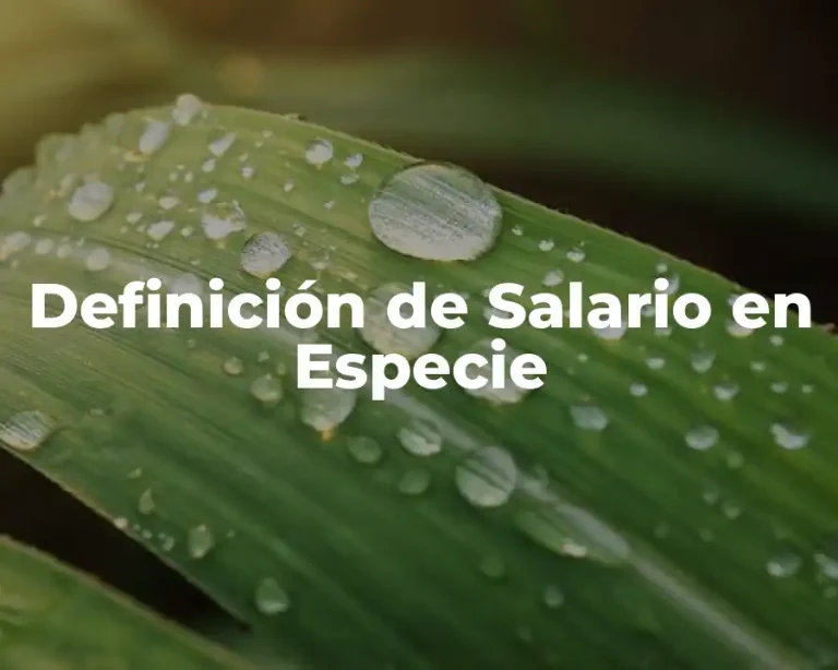 Definición de Salario en Especie