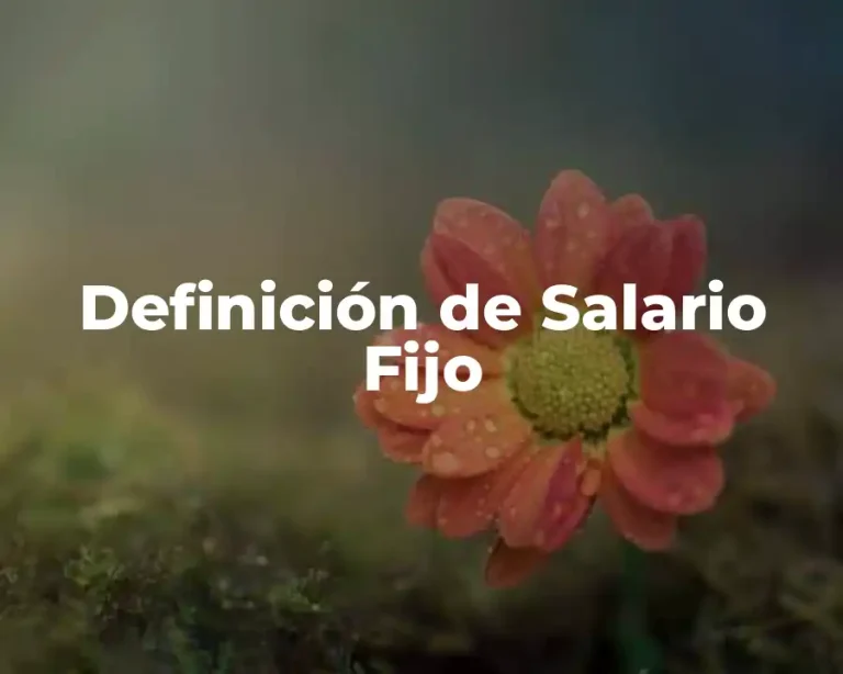 Definición de Salario Fijo
