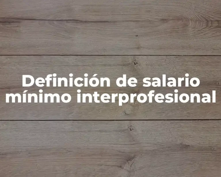 Definición de salario mínimo interprofesional
