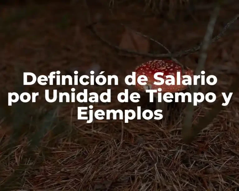 Definición de Salario por Unidad de Tiempo y Ejemplos