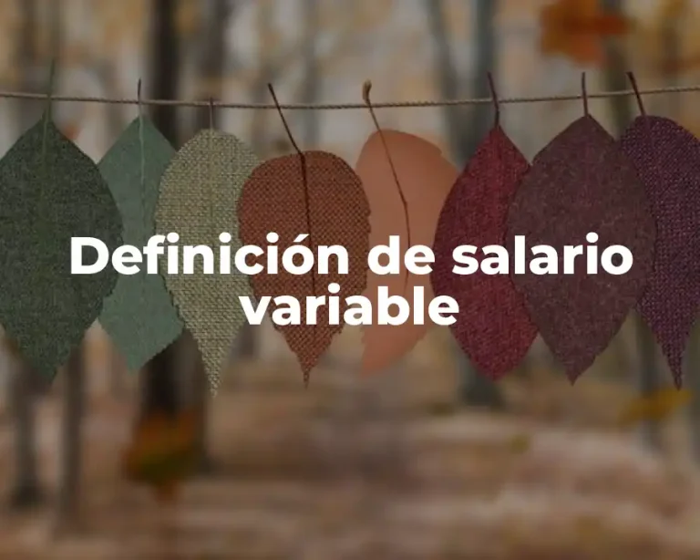 Definición de salario variable