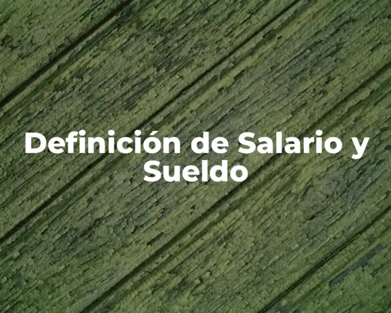 Definición de Salario y Sueldo