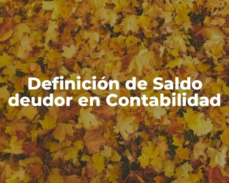 Definición de Saldo deudor en Contabilidad