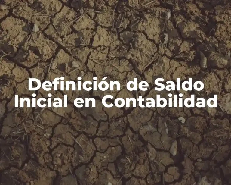 Definición de Saldo Inicial en Contabilidad