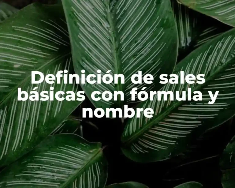 Definición de sales básicas con fórmula y nombre