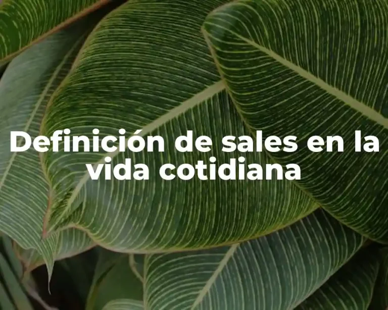 Definición de sales en la vida cotidiana