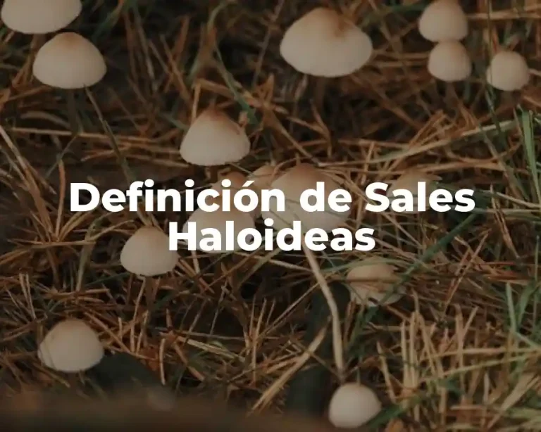 Definición de Sales Haloideas