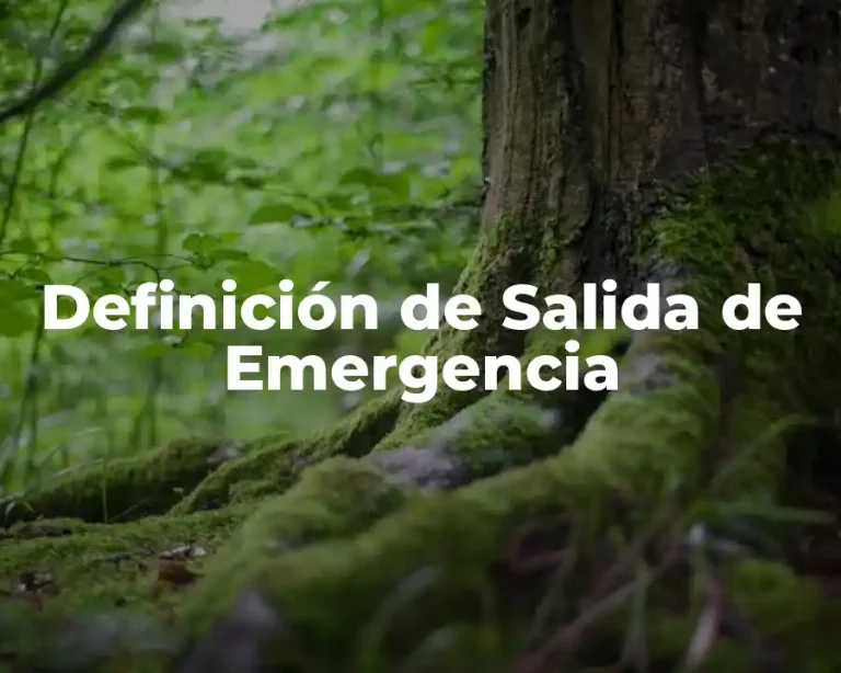 Definición de Salida de Emergencia