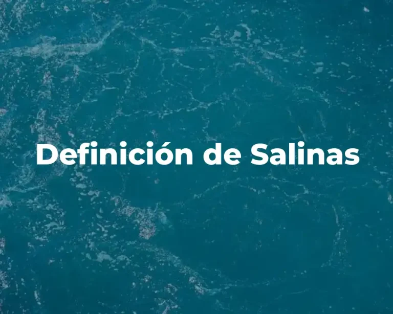 Definición de Salinas