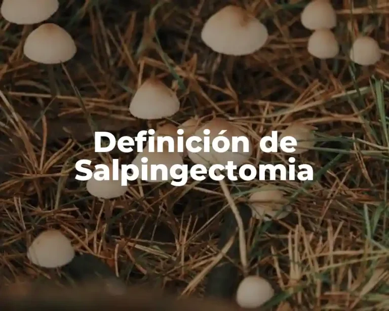 Definición de Salpingectomia