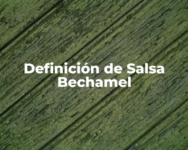 Definición de Salsa Bechamel