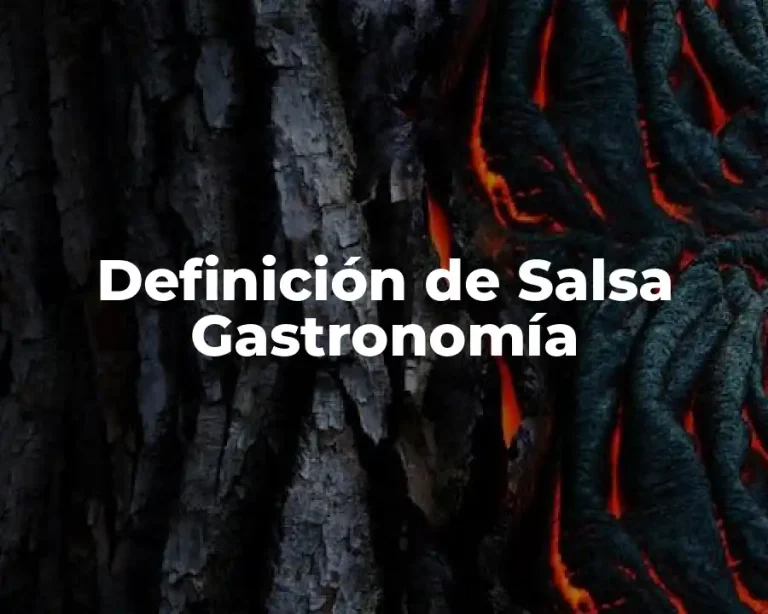 Definición de Salsa Gastronomía